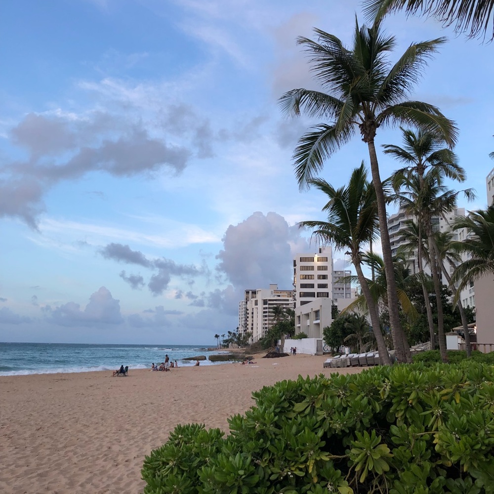 Meet your Posher, Charisse